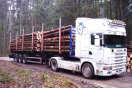 Lkw mit Hänger fährt Holzabschnitte aus dem Wald.