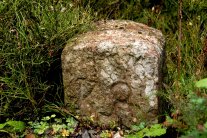 Grenzsetin zwischen Sträuchern 