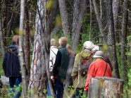 Wandern im Wald