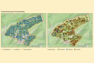 Zwei Karten geben einen Überblick über die Datenerhebung der ersten Kotsammlung im Projektgebiet Karwendel im Frühsommer 2017. Auf der einen topografischen Karte sind die Suchpfade der Kartierteams dargestellt. Das Projektgebiet wurde in Tageseinheiten für die Kartierteams unterteilt. Auf der anderen topografischen Karte sind die Tageseinheiten und die Kotfundpunkte der drei Schalenwildarten dargestellt. 