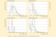 Vier Koordiantensysteme mit jeweils grüner, blauer, roter und dunkelgrüner Kurve; immer unterschiedlich