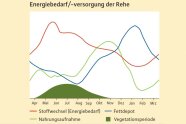 Fettreserven sind bei Rehen im Winter am höchsten, während der Energibedarf gering ist. Einen Engpass kann es nur geben, wenn die Reserven aufgebraucht sind, der Bedarf steigt und die Vegetation keine Energie bereitstellt. (verändert nach Hofmann 1981)
