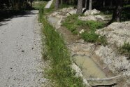 Waldweg mit Pfützen am Rand