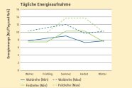 Im Jahresverlauf nehmen Feld- und Waldrehe im Durchschnitt gleich viel Energie auf. Um das zu erreichen, äsen Waldrehe mehr.