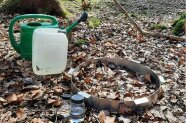 Metallring auf Waldboden eines Fichten-Buchen-Mischbestand, mit abgeschirftem Waldboden