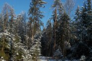 Seilkran in einem Nadelwald am Berg mit Schnee