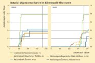 Die Frühjahrsmigration setzt in allen Teilpopulationen zu einem ähnlichen Zeitpunkt ein. Die historischen Daten aus dem Nationalpark Bayerischer Wald zeigen eine verfrüht einsetzende Herbstmigration. Die Migrationsrate der Alttiere im Forstbetrieb Neureichenau liegt höher als die der Tiere aus den Nationalparken (siehe Text).