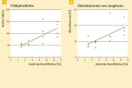 Diagramm das den Zusammenhang von Frühjahrsdichte und Überlebensrate zeigt