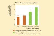 Balkendiagramm mit zwei niedrigeren roten Balken und zwei höheren grünen