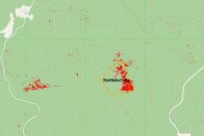 Viele kleine rote Punkte zeigen Vegetationshöhen über 38,5 m Höhe