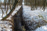 Das Bild zeigt einen geraden langen dunklen Graben in dem Wasser fließt. Auf beiden Seiten ist der Graben von Wald umgeben was man an den vielen Baumstämmen erkennt. 