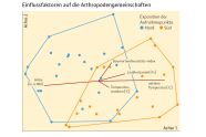 Grafische-räumliche Darstellung der Einflussfaktoren Temp. und Höhenlage, mit Exposition