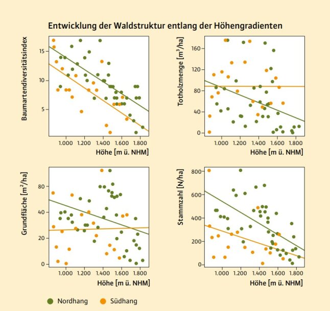 Diagramme zeigen Veränderung von Baumartendiversität, Totholzmenge, Grundfläche und Stammzahlen entlang der zwei Höhengradienten