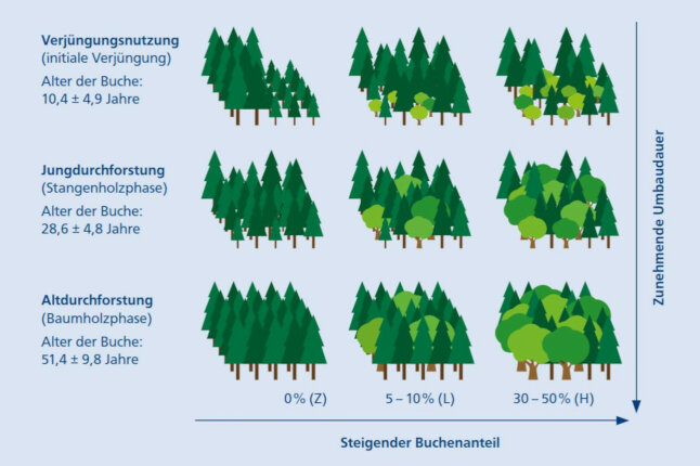 grafische Darstellung des Versuchsaufbaus