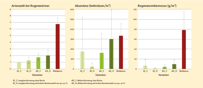 3 Balkendiagramme die Artenzahl, Abundanz und Regenwurmbiomasse der Varianten vergleichen