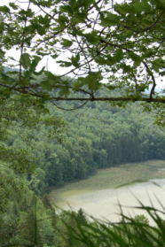 Großer See in einem Mischwald. 