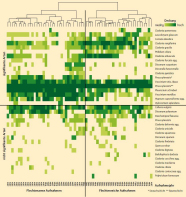 Diagramm mit unterschiedlich grünen Vierecken, die den Deckungsgrad signifikanter und nicht signifikanter Arten von 1984 bis 2014 anzeigen.