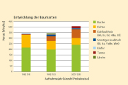 Entwicklung der Baumarten Buche, Fichte, Edellaubholz, Sonstiges Laubholz, Kiefer, Tanne und Lärche von 1982 über 1992 bis 2007. Zunahme des Vorrats insbesondere bei Buche, Edellaubholz und Tanne, Abnahme bei Fichte, Kiefer und Lärche