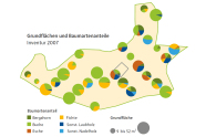 Grundflächen und Baumartenanteile mit viel Buche