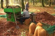 Zwei Männer arbeiten im Wald an einer Maschine