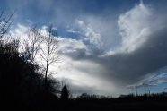 Bild von Wald mit Wolken darüber