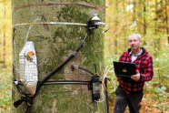 Verschiedene Techniken an einem Baum, welche von einer Person im Hintergrund aufgenommen und ausgewertet werden.