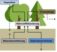 Grafik zur Nährstoffbilanzierung bei Waldhackschnitzelernte.