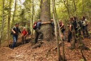 Zwei Menschen umfassen einen dicken Baum und sich selbst dabei bei den Händen, andere Menschen stehen drumherum und gucken zu