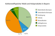 Grafik: Anteile verschiedener Waldelemente und von Holzprodukten am gespeicherten Kohlenstoff. Den größten Teil bilden, mit 43 Prozent, die Mineralböden. Darauf folgt die oberirdische Biomasse mit einem Anteil von 36 Prozent. Holzprodukte machen 7 Prozent aus und stehen damit an vierter Stelle.