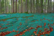 ein großes Netz liegt ausgebreitet auf dem Waldboden