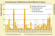 Balken Liniengrafik zeigt zeitlichen Verlauf von Waldbrandfläche und Anzahl an Waldbränden