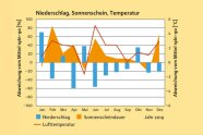 Grafik das mit blauen Balken, orangen Dreiecken und einer gezackten roten Linie den Niederschlag, die Sonnenscheinddauer und die Lufttmeperatur zeigt