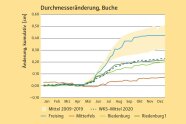 Grafik mit viuer verschieden farbigen Linien, die blaue Linie ist deutlich über den anderen