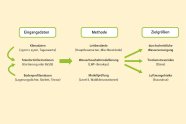 Grafik mit drei Boxen mit Oberbegriffen, darunter Unterbegriffe, die mit Pfeilen verknüpft sind und so Verbindungen herstellen, um die Oberbegriffe zu erreichen