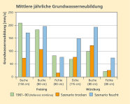 Balkendiagramm: Mittlere jährliche Grundwasserneubildung. Dabei werden verschiedene Baumarten und Niederschlagsvarianten (trocken und feucht) verglichen. 