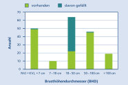 Balkendiagramm mit fünf Balken in Hell- und Dunkelgrün