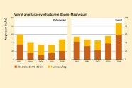 Vorrat an verfügbarem Magnesium im Boden als Balkendiagramm: orange im Mineralboden, gelb in Humusauflage