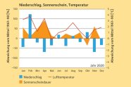 Grafik mit blauen Balken und orangen Dreieickenm darüber eine zackige rote Linie