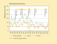 Graphik: Nitratkonzentrationen im Sickerwasser von 1984 bis 2004. Bis auf wenige Ausnahmen übersteigt die Konzentration unter Fichten den Trinkwassergrenzwert bei weitem. Besonders in Jahren mit erhöhtem Nadelverlust stieg die Nitratkonzentration an. In Trockenjahren ging sie dagegen stets zurück. Unter Buchen ist der Wert durchgehend sehr weit unter dem Grenzwert für Trinkwasser.