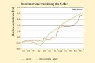 Das Diagramm zeigt die Kumulative Entwicklung des Durchmessers von Kiefern an der Waldklimastation Altdorf im Jahr 2023 im Vergleich zum mehrjährigen Mittel von 2002 bis 2021