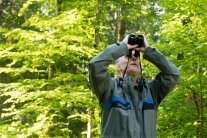 Ein Mitarbeiter der Waldzustandserhebung blickt mit einem Fernglas in die Baumkronen