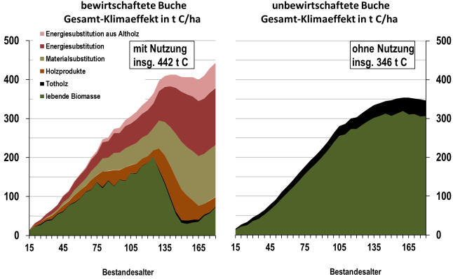 Zwei nebeneinander stehende Linienidiagramme. Die x-Achse stellt das Bestandesalter in Jahren, die y-Achse die eingesparte Menge CO² dar.