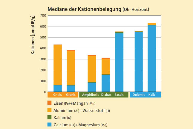 Säulendiagramm zeigt die mittlere Kationen der einzelnen Gesteinstypen aus Abbildung 2