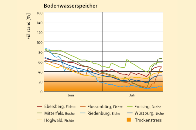 Entwicklung der Bodenwasservorräte im Kurvendiagramm