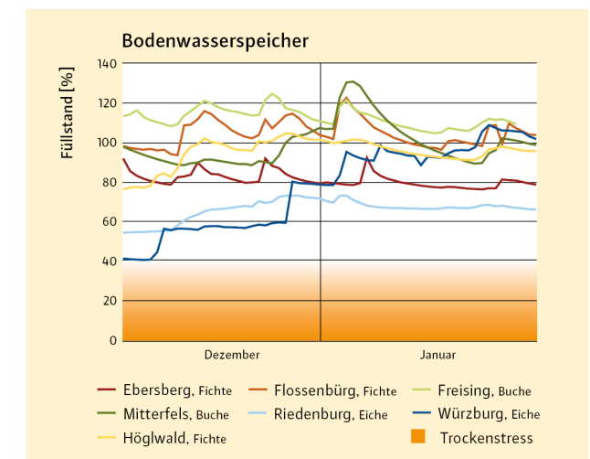 Die Grafik zeigt die Entwicklung der Bodenwasservorräte im gesamten durchwurzelten  Bodenraum in Prozent zur nutzbaren Feldkapazität (nFK). Bei weniger als  40% der nFK ist mit Trockenstress für die Bäume zu rechnen.