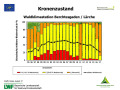 Balkendiagramm, auf der x-Achse sind die Jahre 195-2017, auf der y-Achse die Schadstufe bzw. der mittlere Blattverlust in Prozent dargestellt. Die Balkenfasrbe reicht von orange (Schadstufe 1) bis rot (Schadstufe 3)