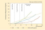 Liniendiagramm: Vergleich Magnesium-Export mit und ohne Kronennutzung