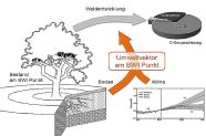 Grafische Darstellung eines Baums, eines Bodenquerschnittes und eines Klimadiagramms. Umweltvektoren werden an den BWI-Punkten vom Boden und den Klimawerten erhoben.