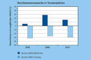 Grafik zeigt die Abweichungen vom durchschnittlichen Zuwachs an den Waldklimastationen Mitterfels und Freising. Weitere Informationen siehe Text.