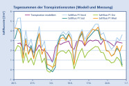 Diagramm der Tagessummen der Transpirationsraten